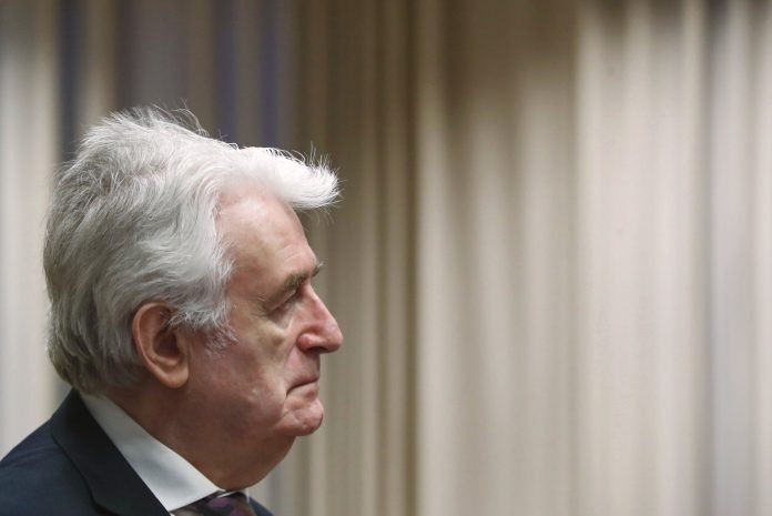 radovan karadzic 1