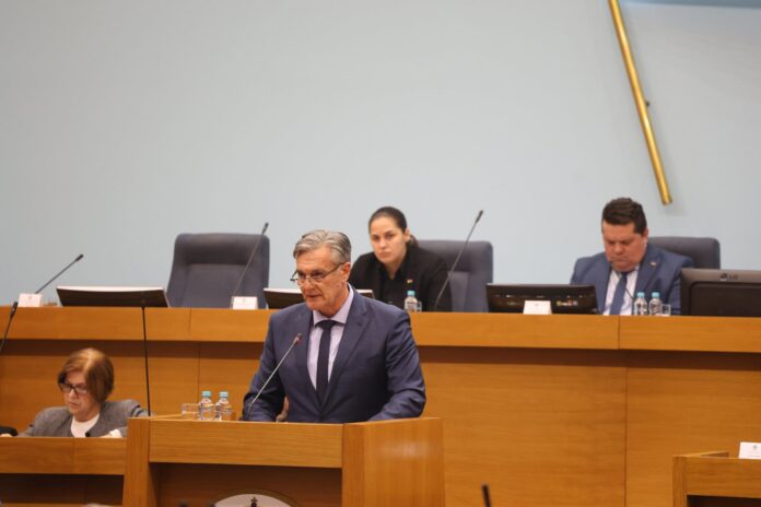 Siniša Karan u Skupštini 5