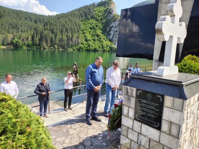 Dodik Blagojevic Stari Brod 1